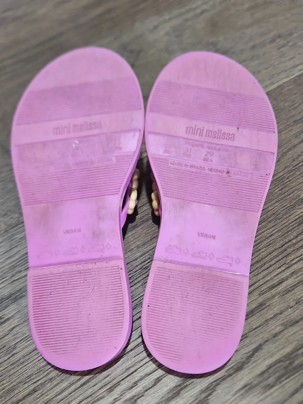 Mini MELISSA